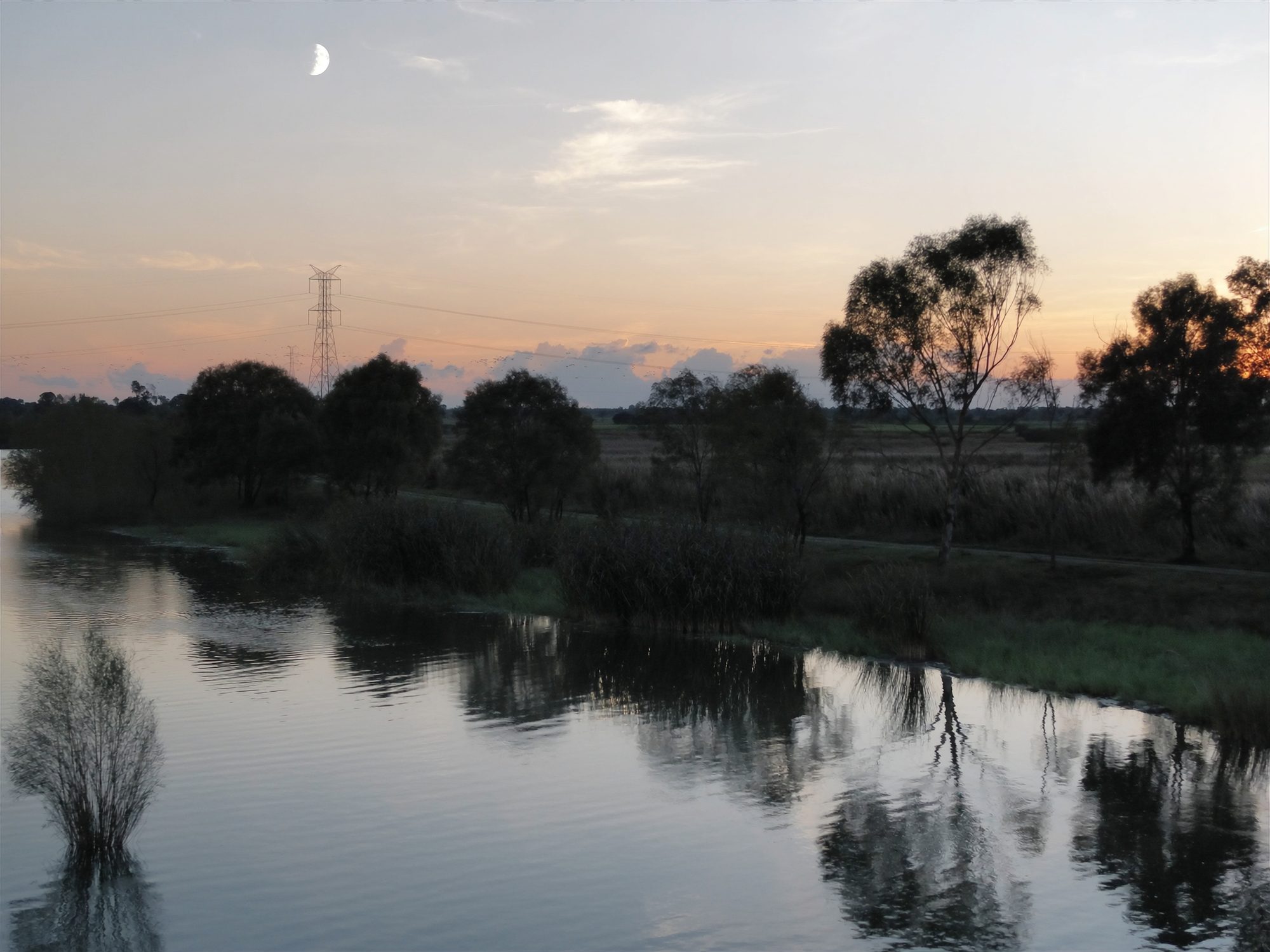 Nature around Mudgee