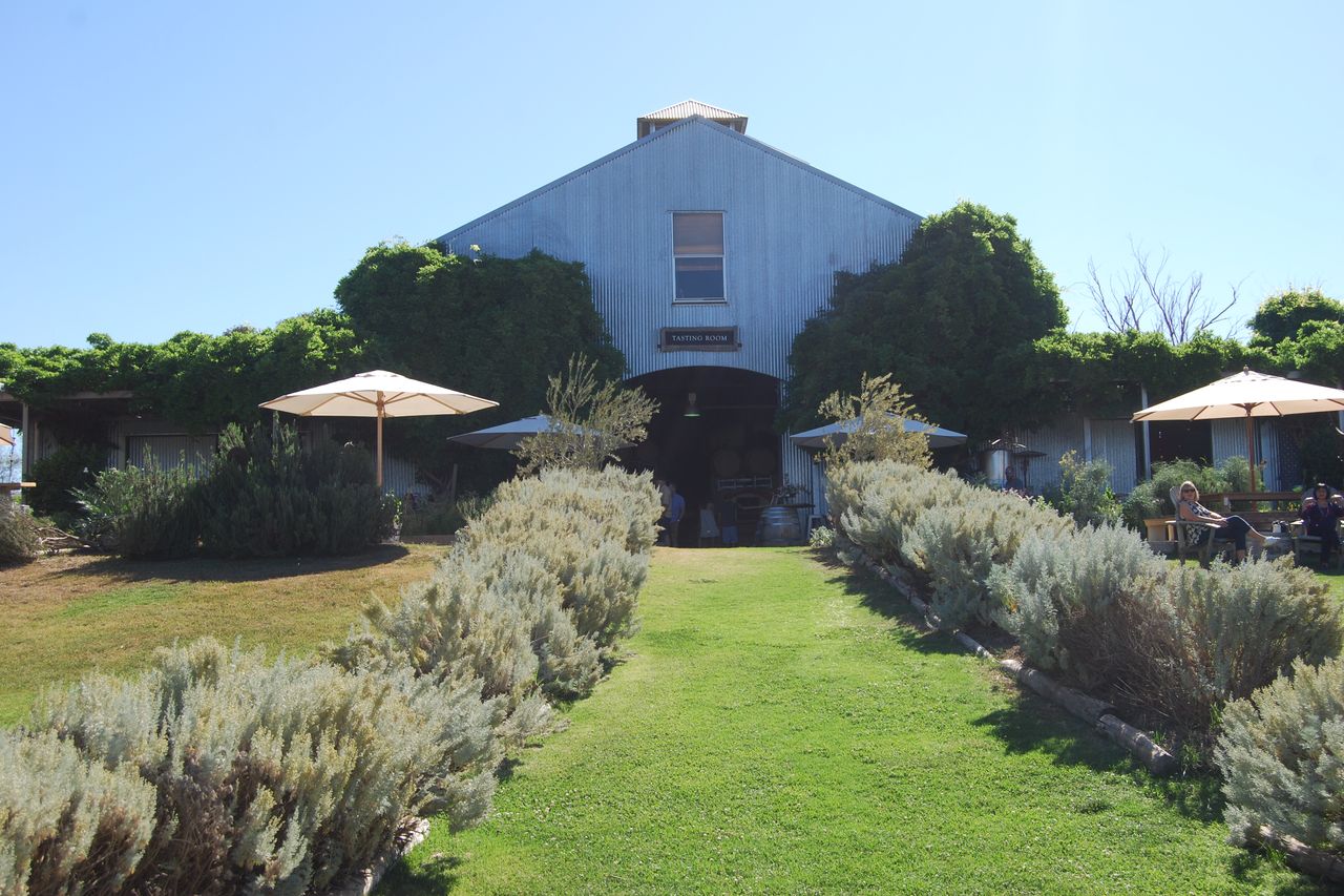 The cellar door at Lowe Wines, Mudgee
